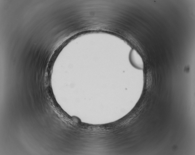 X0000114560876200911301246