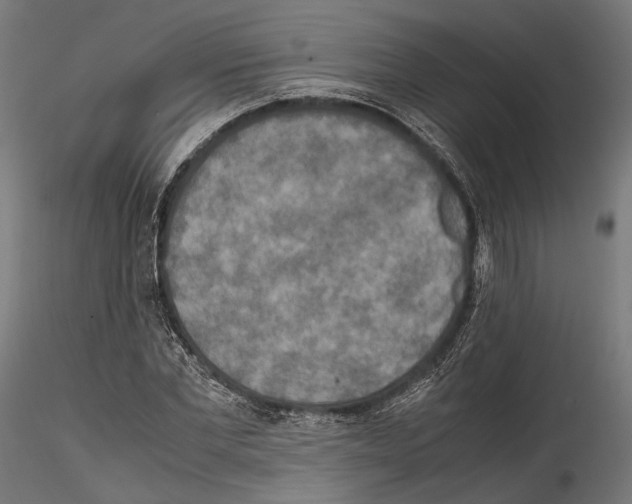 X0000114560877200911301246