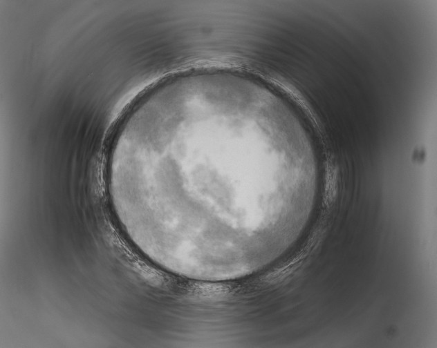 X0000114560878200911301246