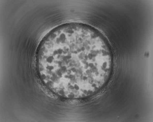 X0000114560879200911301246