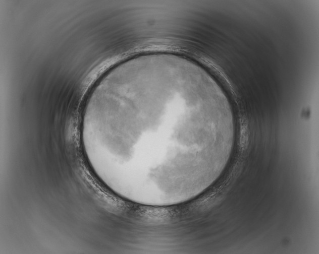 X0000114560882200911301246
