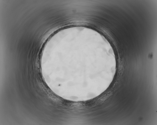 X0000114560883200911301246