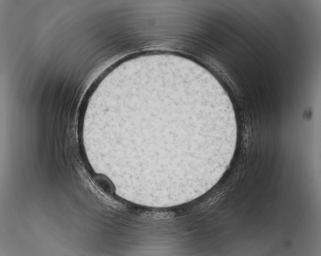 X0000114560884200911301246