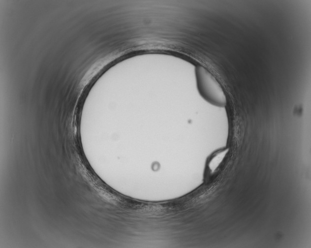 X0000114560885200911301246