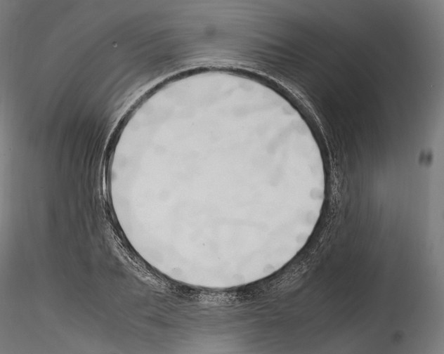 X0000114560887200911301246