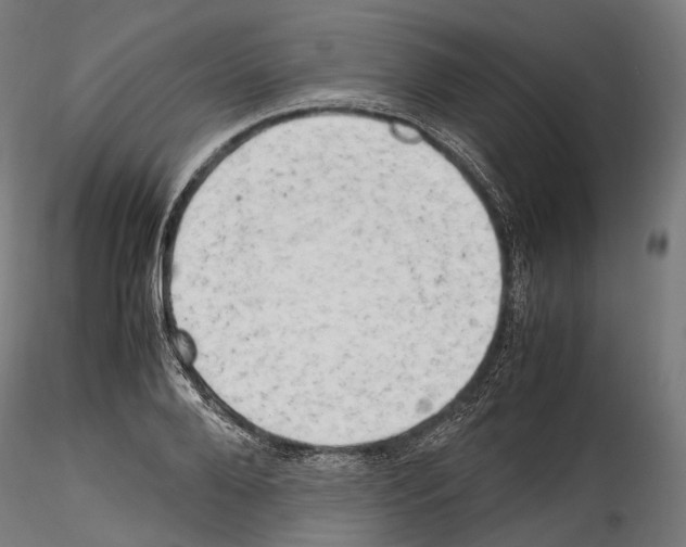 X0000114560888200911301246