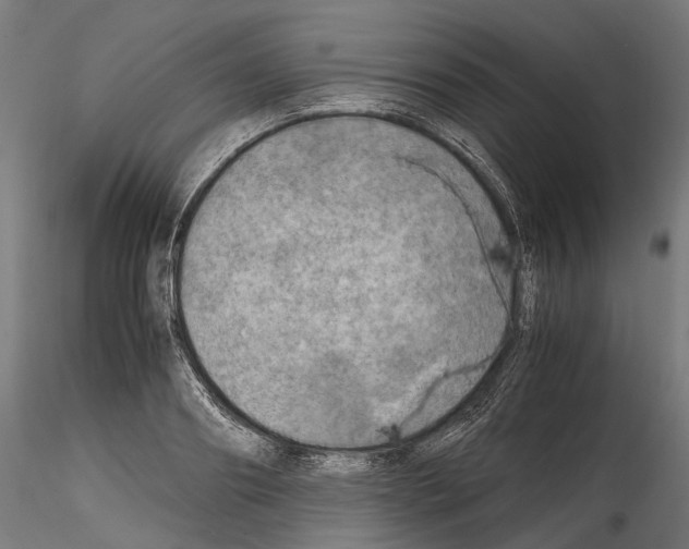 X0000114560890200911301246