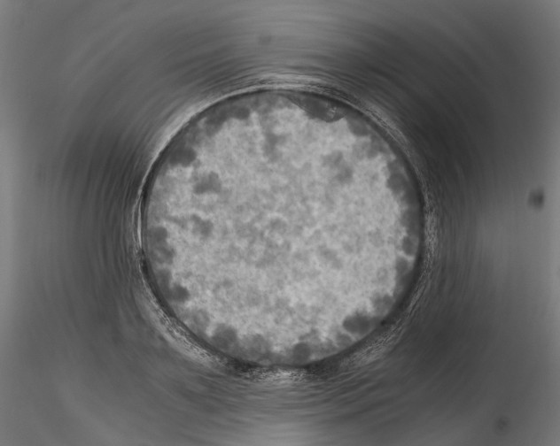 X0000114560891200911301246