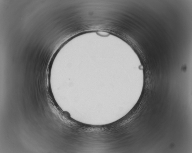 X0000114560892200911301246