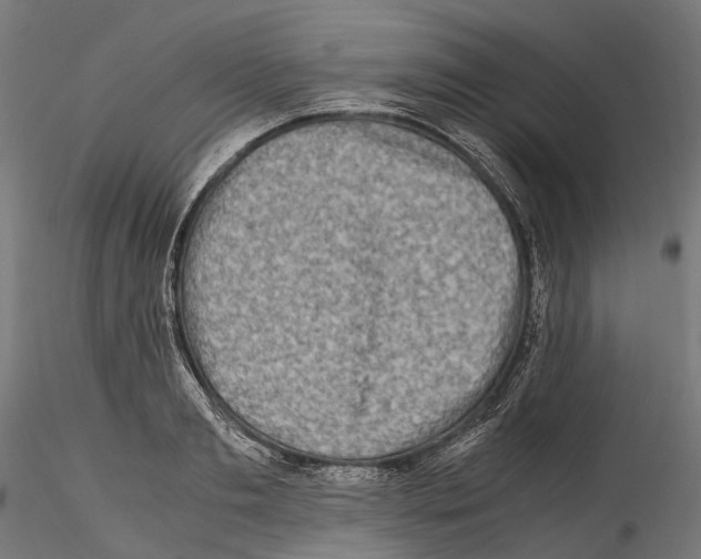 X0000114560893200911301246