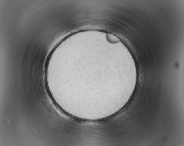 X0000114560894200911301246