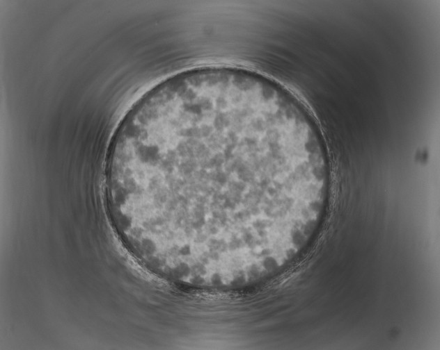 X0000114560895200911301246
