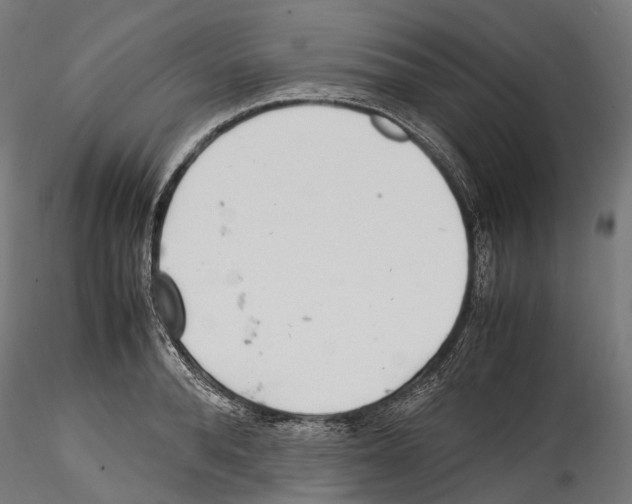 X0000114560896200911301246