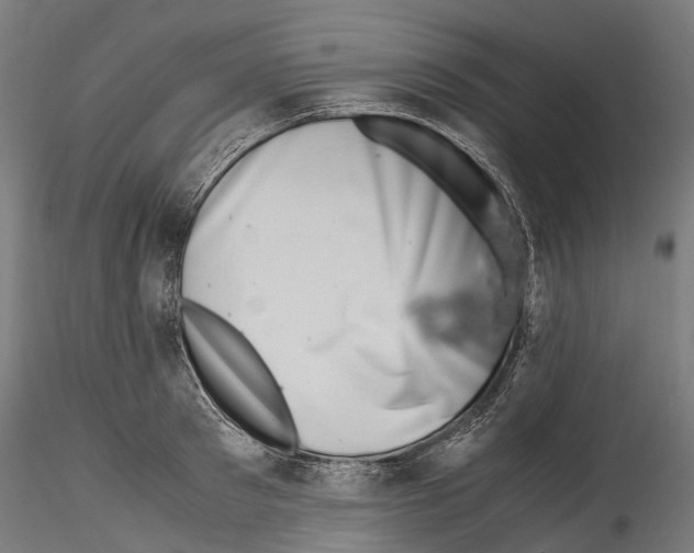 X0000114560897200911301246
