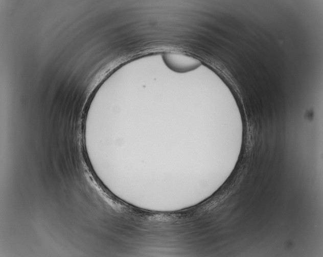 X0000114560898200911301245