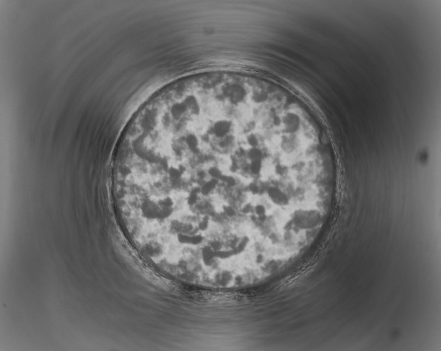 X0000114560899200911301245