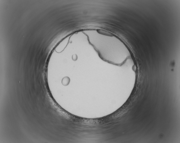 X0000114560901200911301245