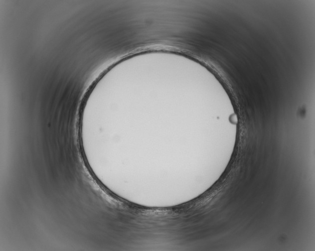 X0000114560902200911301245