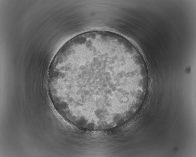 X0000114560903200911301245