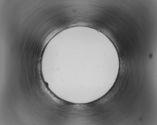 X0000114560906200911301245