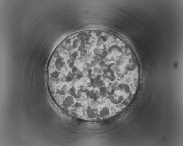 X0000114560907200911301245
