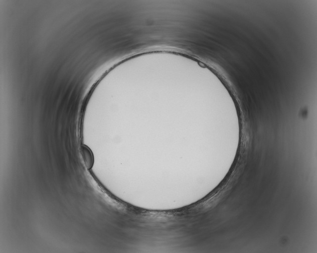 X0000114560910200911301245