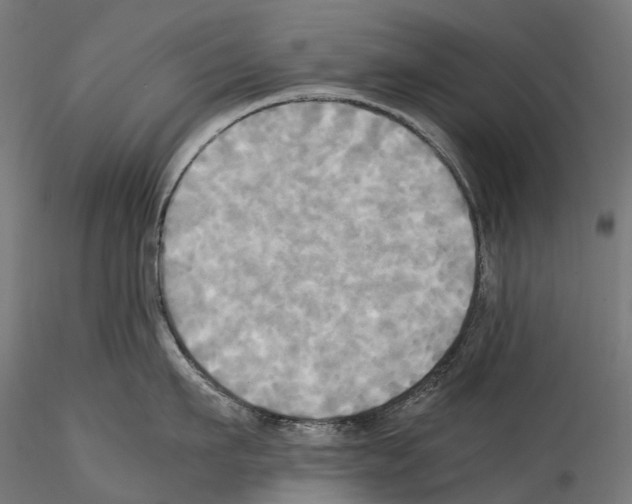X0000114560911200911301245