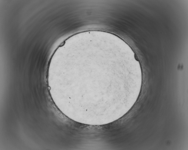X0000114560912200911301245
