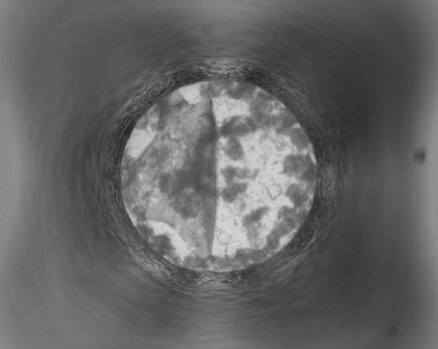 X0000114560913200911301245
