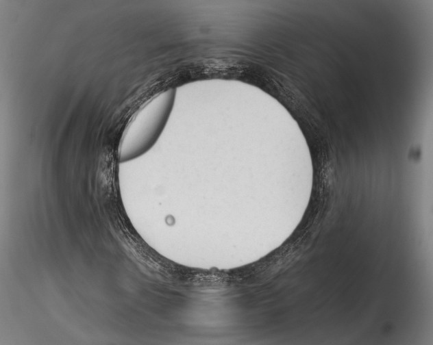 X0000114560914200911301245
