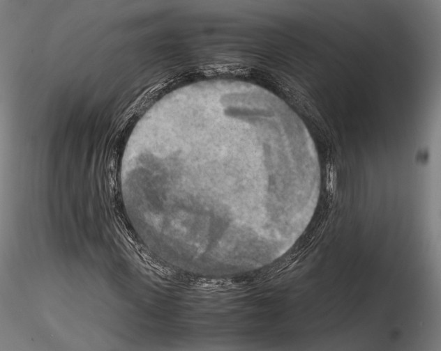 X0000114560915200911301245