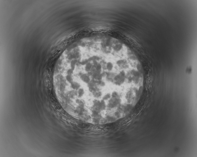 X0000114560917200911301245