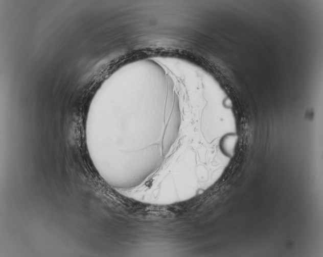 X0000114560918200911301245