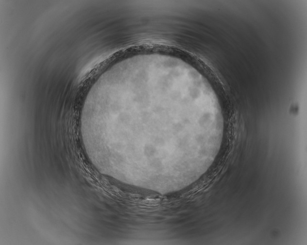 X0000114560919200911301245