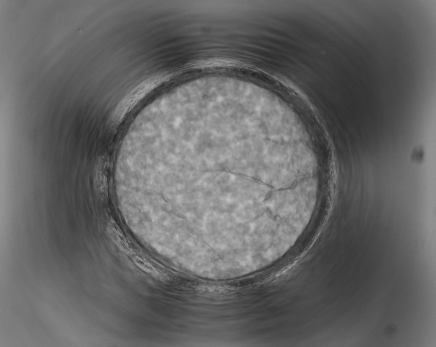 X0000114560921200911301245