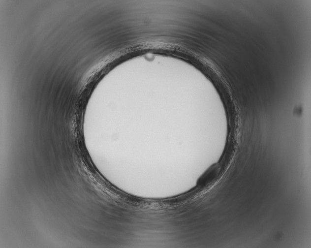 X0000114560922200911301245