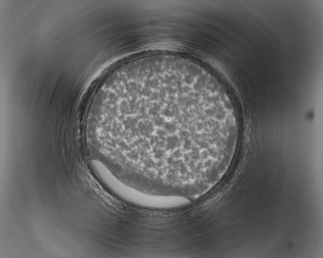 X0000114560923200911301245