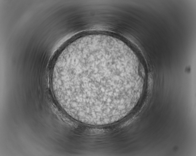 X0000114560925200911301245