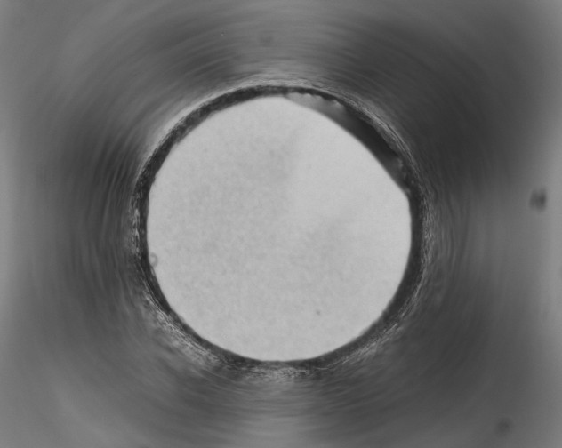 X0000114560926200911301245