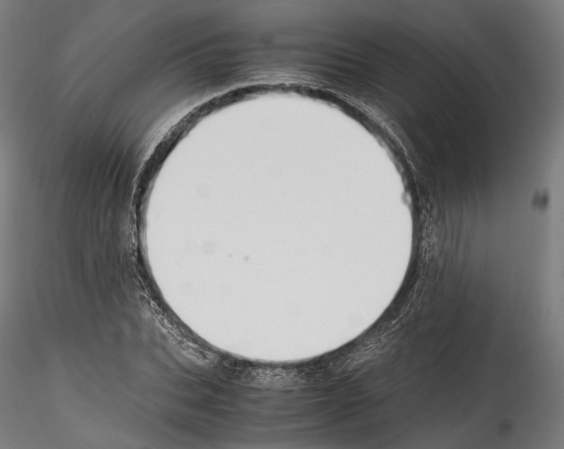 X0000114560927200911301245