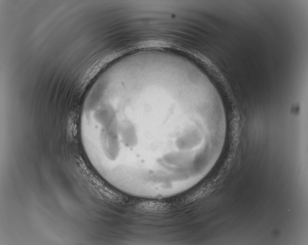 X0000114560929200911301245