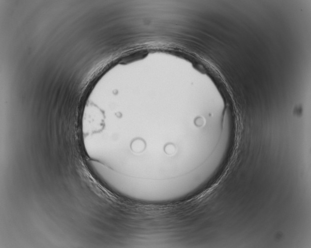 X0000114560930200911301245