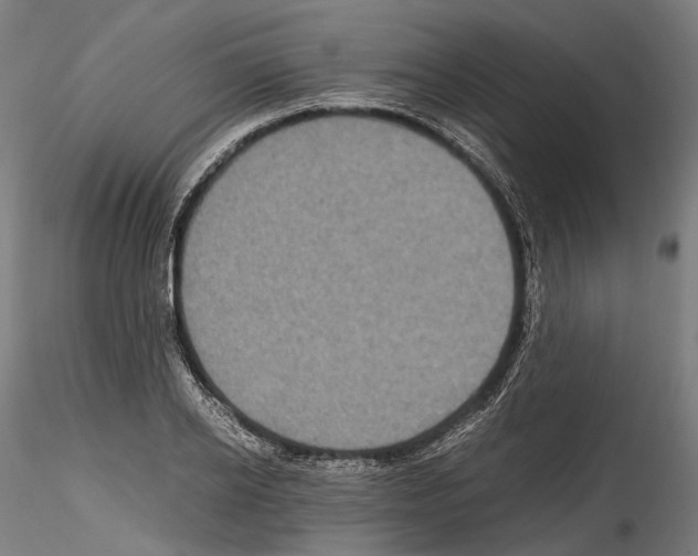 X0000114560934200911301245