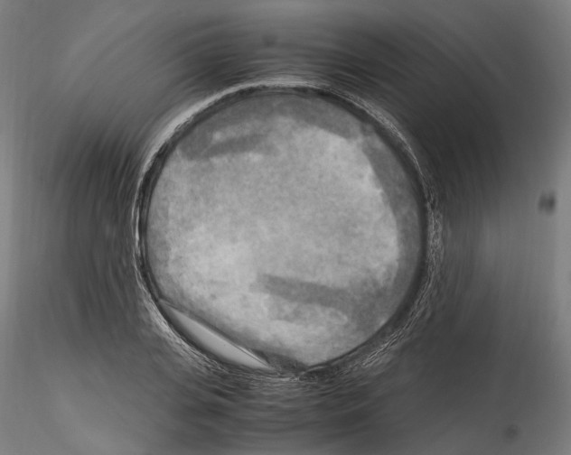 X0000114560935200911301245