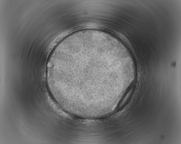 X0000114560938200911301245