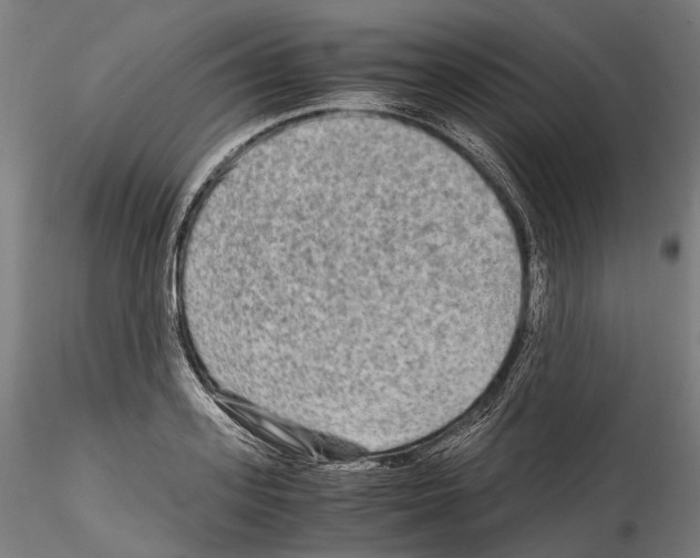 X0000114560939200911301245