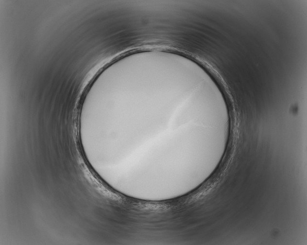 X0000114560941200911301245