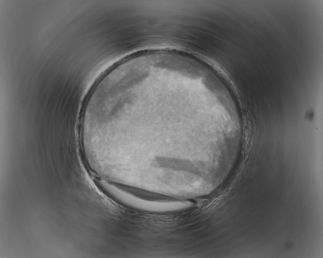 X0000114560943200911301245
