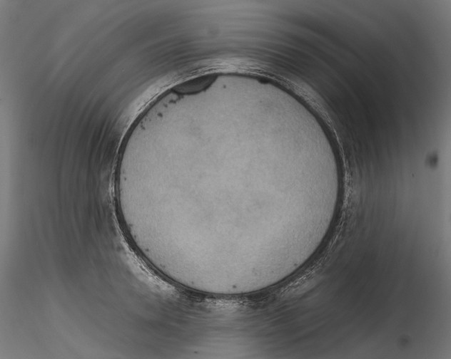 X0000114560946200911301245