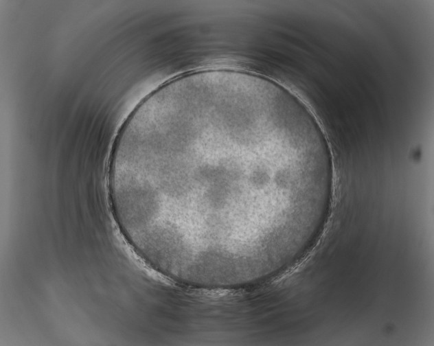 X0000114560949200911301245